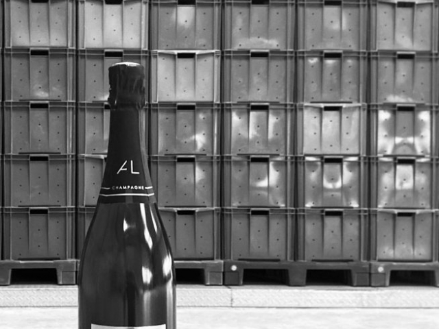champagne haut de gamme de qualité champagne Alexandre LENIQUE