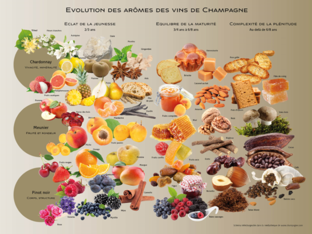 aromes de champagne Lenique Epernay