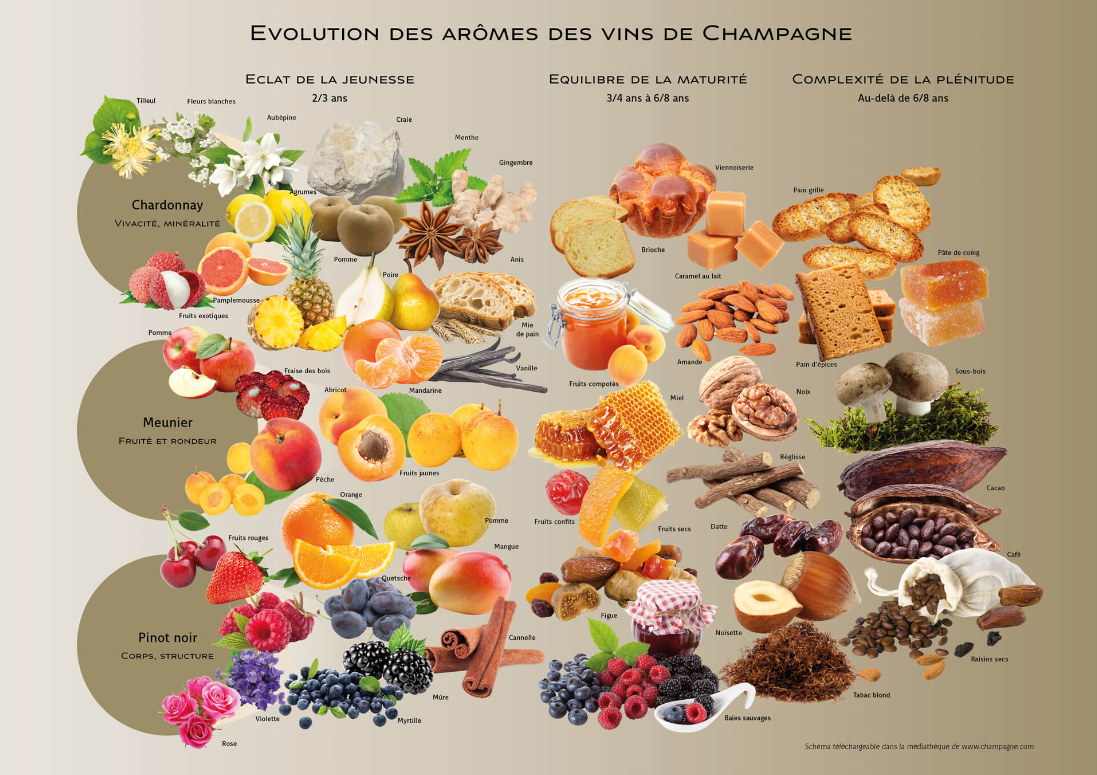 aromes de champagne Lenique Epernay