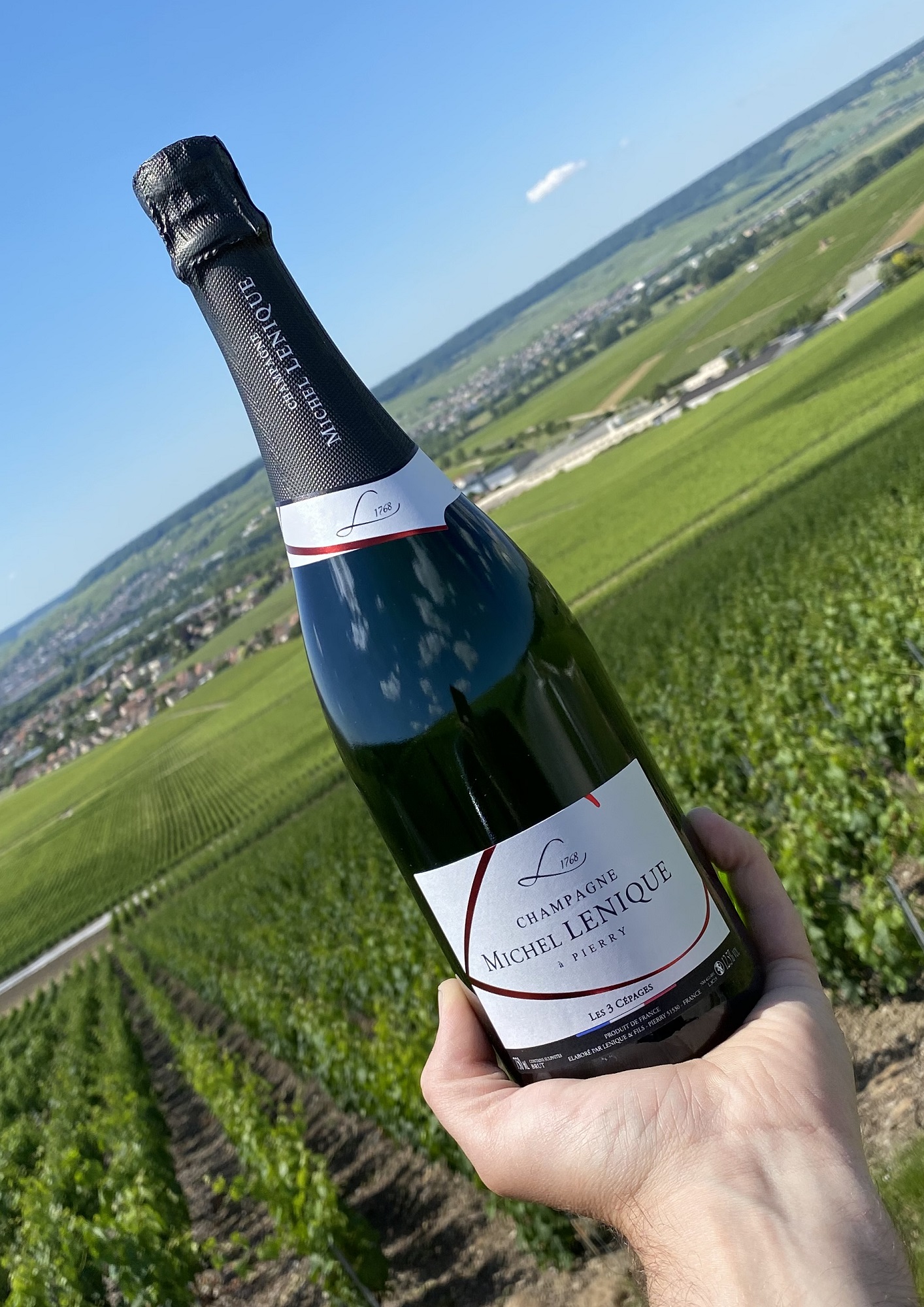 champagne lenique producteur 1768