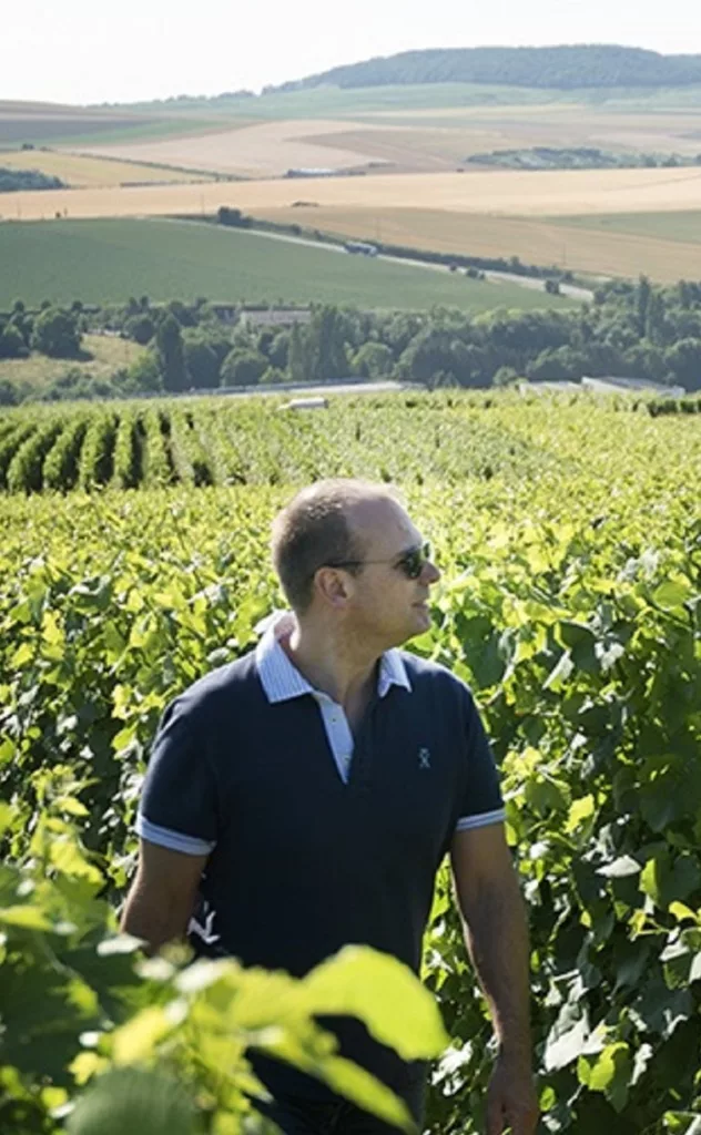 Producteur de Champagne Epernay vigneron Lenique